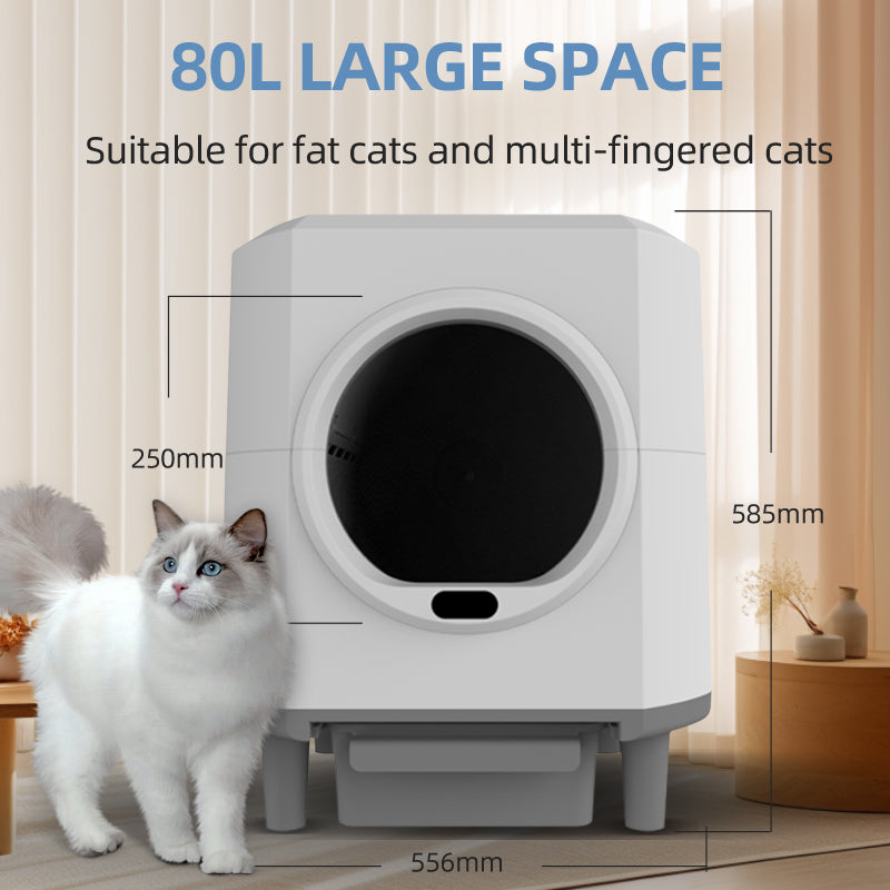 Smart Automatic Pet Feeder (Wi-Fi, Timed, Portion Control, Low-Noise)